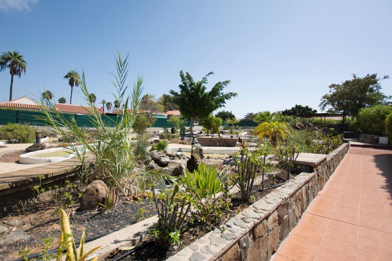 Serenity Garden Maspalomas  Bagian luar foto