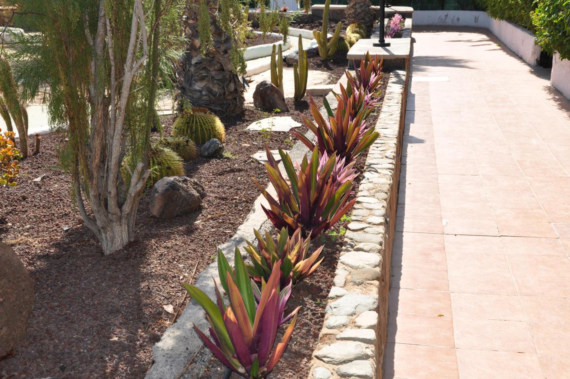 Serenity Garden Maspalomas  Bagian luar foto
