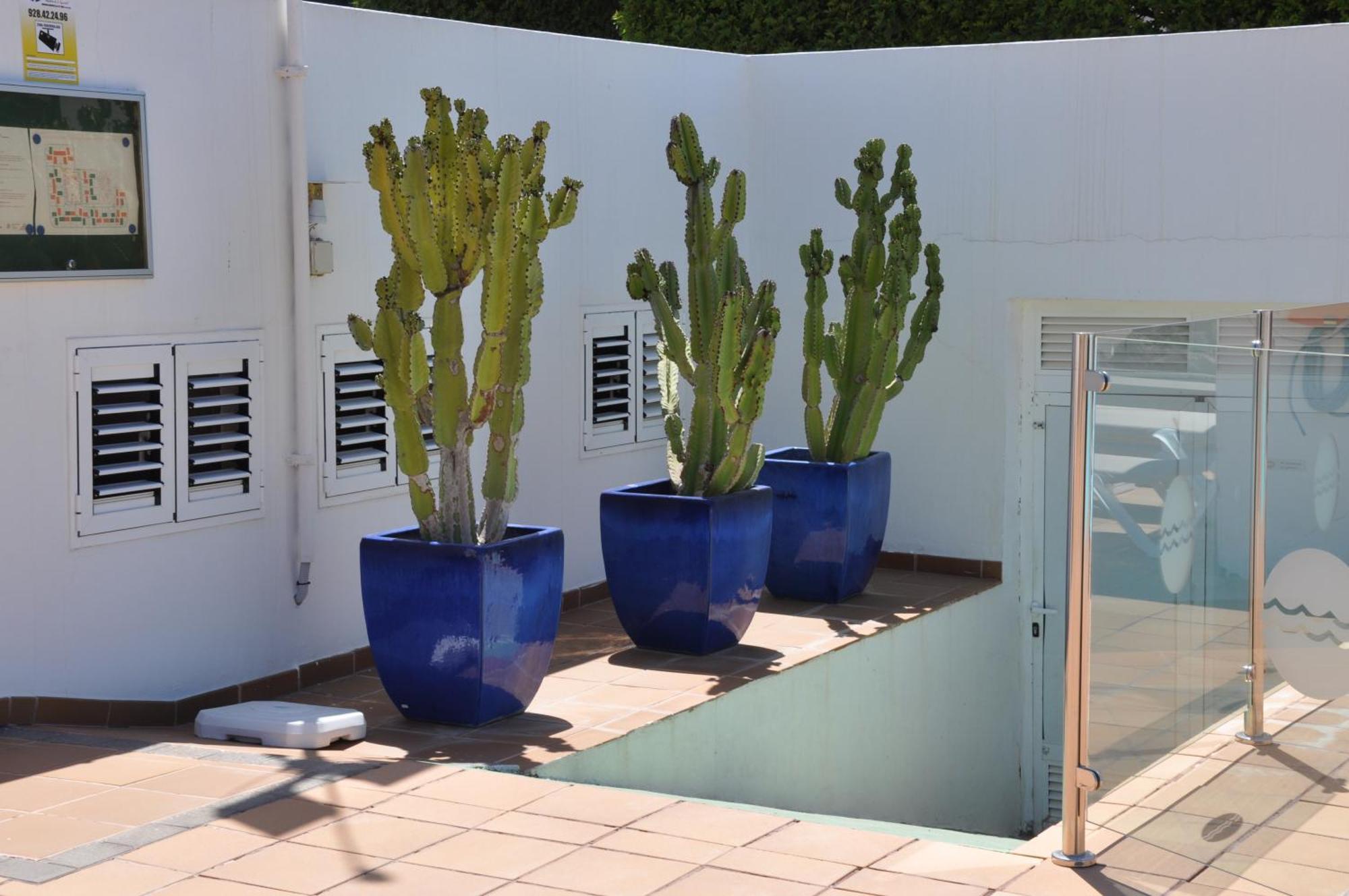 Serenity Garden Maspalomas  Bagian luar foto