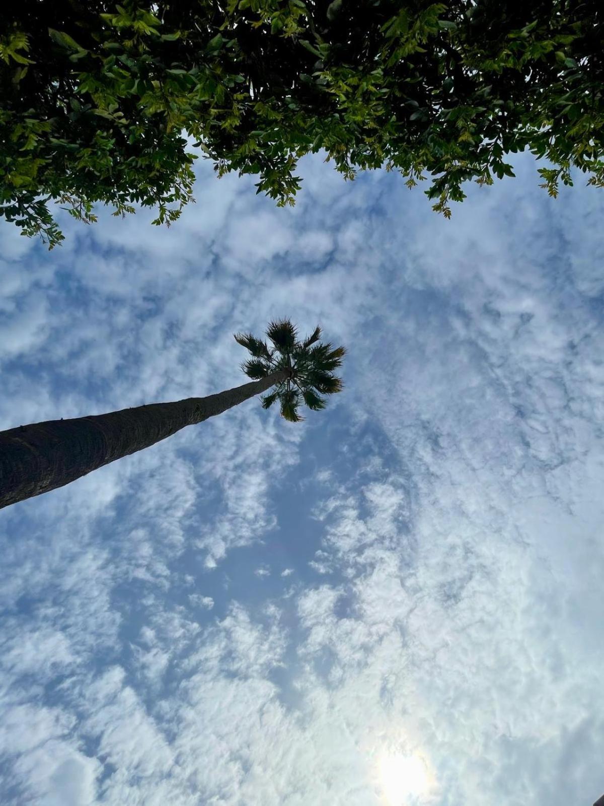 Serenity Garden Maspalomas  Bagian luar foto